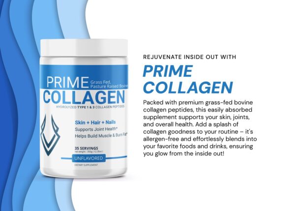 Prime Collagen 01